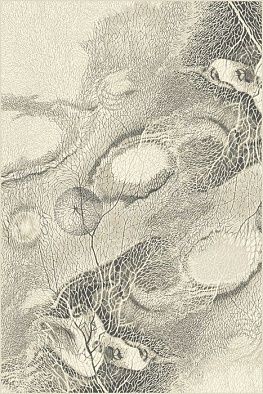 Ковер ISFAHAN BELLONA pearl